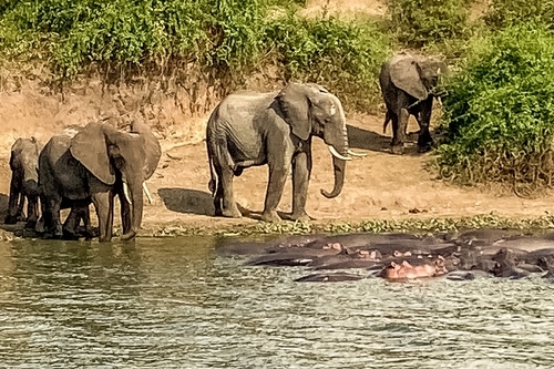 7 day wildlife experience adventure safari