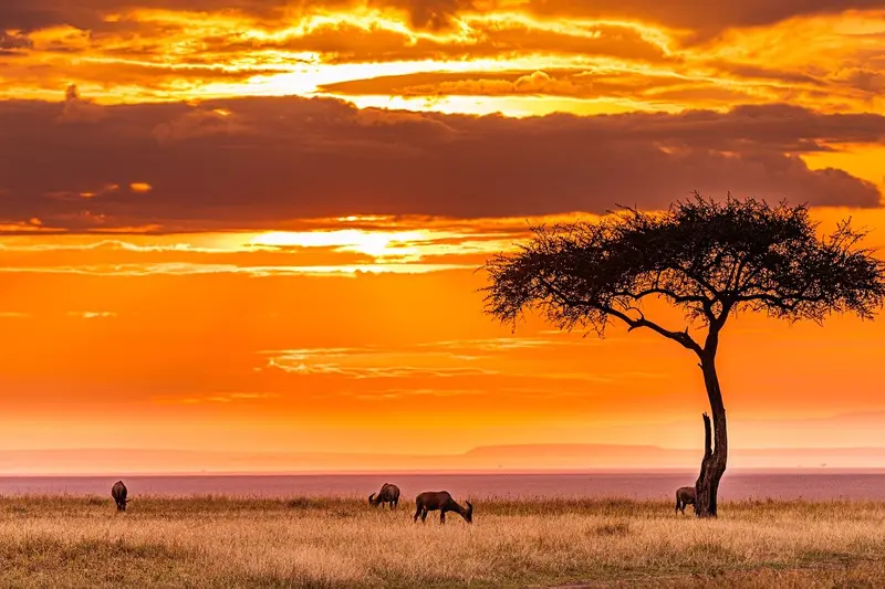 Sunset in Africa